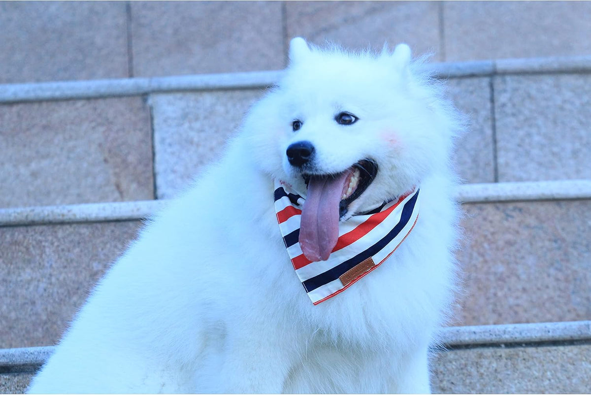 Adjustable triangle shape American flag dog scarf back view