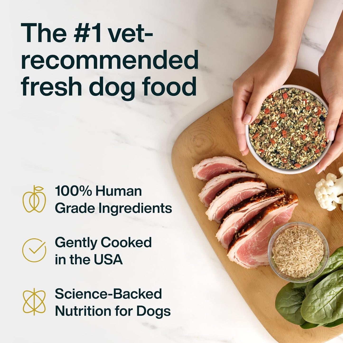 JustFoodForDogs Vet RX therapeutic meal for dogs with kidney issues