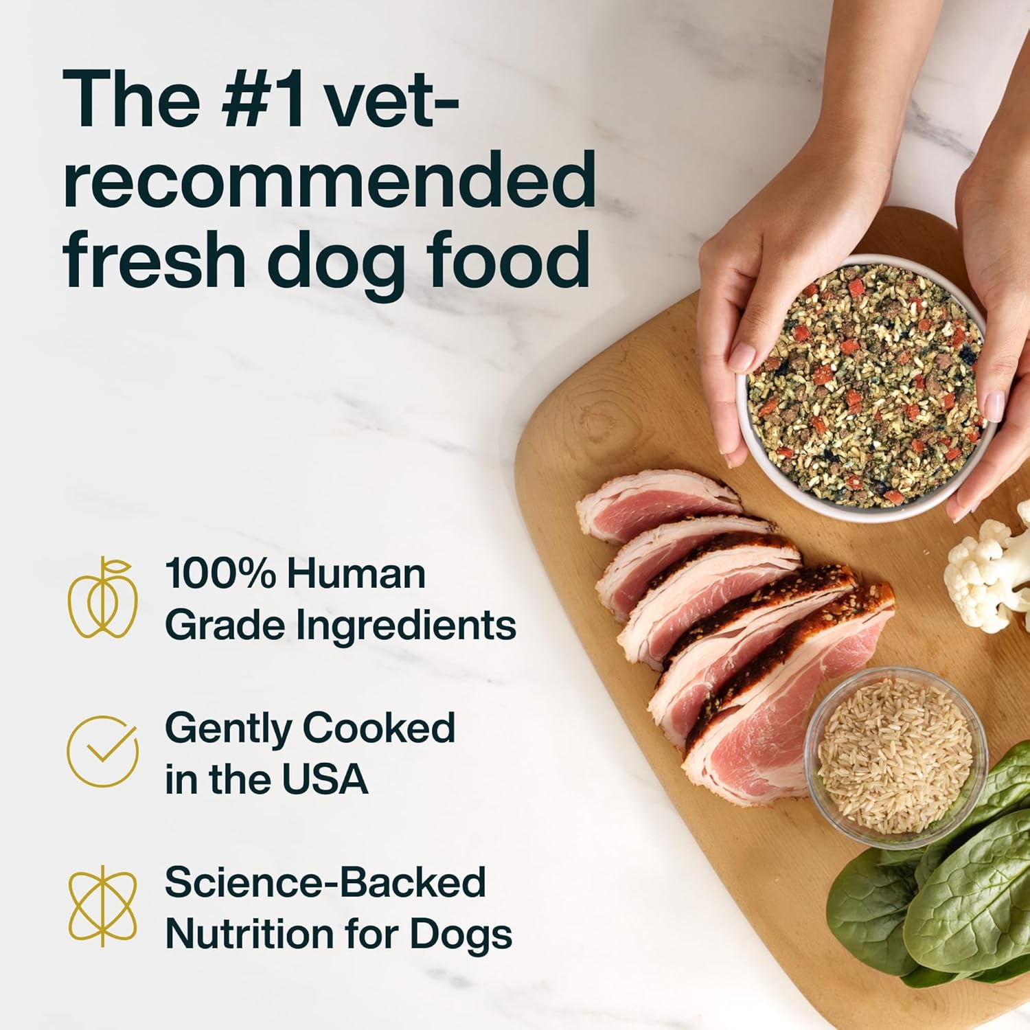 JustFoodForDogs Vet RX therapeutic meal for dogs with kidney issues