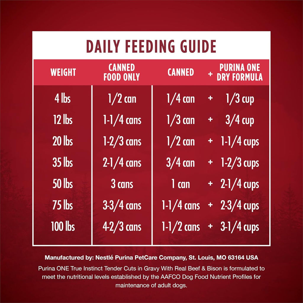 Purina ONE natural wet dog food high protein premium pet nutrition product view
