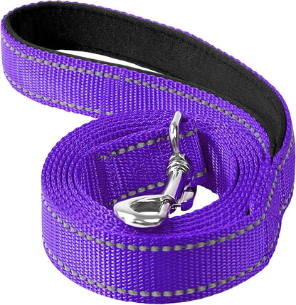 Erbine authentic USA imported turquoise reflective puppy leash packaging layout