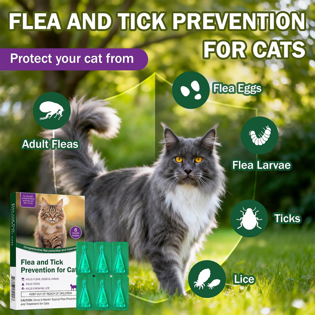 Detailed view of Catego flea and tick topical cat treatment