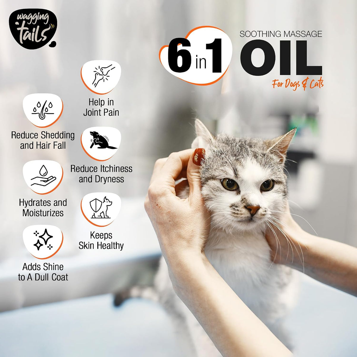 Applying Wagging Tails 6-in-1 oil to dog fur for shine