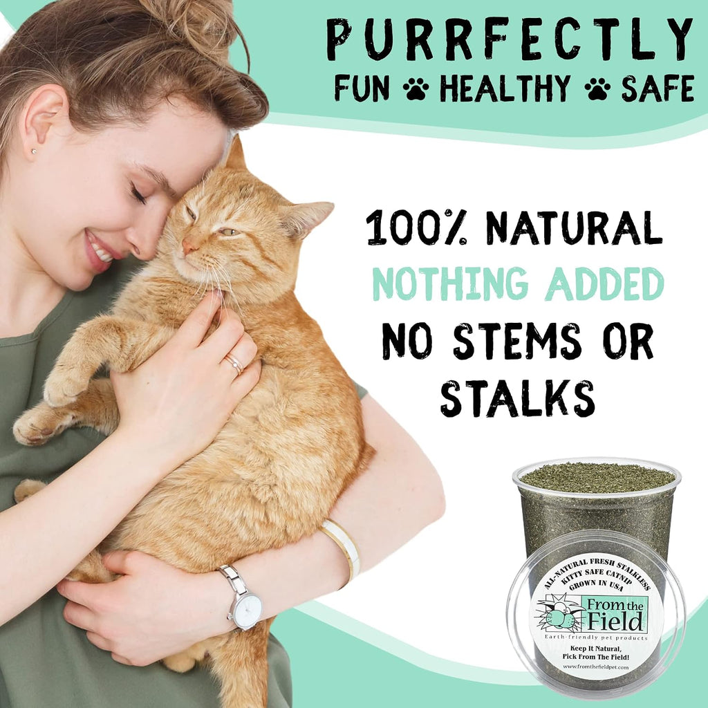 From The Field catnip bag背面 lifestyle setting with cat toy