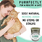 From The Field catnip bag背面 lifestyle setting with cat toy