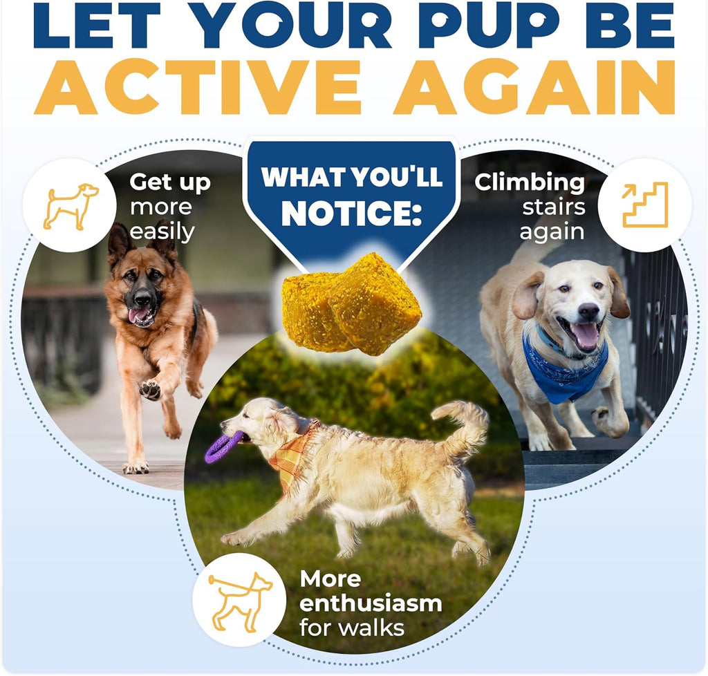 USA imported dog joint supplement chewable tablets for pet care