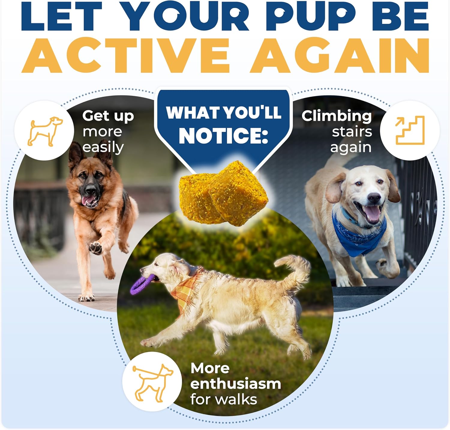 USA imported dog joint supplement chewable tablets for pet care