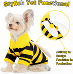 Medium dog wearing the bumblebee apparel during a festive Halloween photoshoot.
