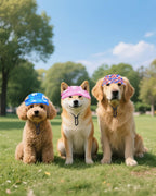 Adjustable drawstring detail on Pet Show dog baseball cap
