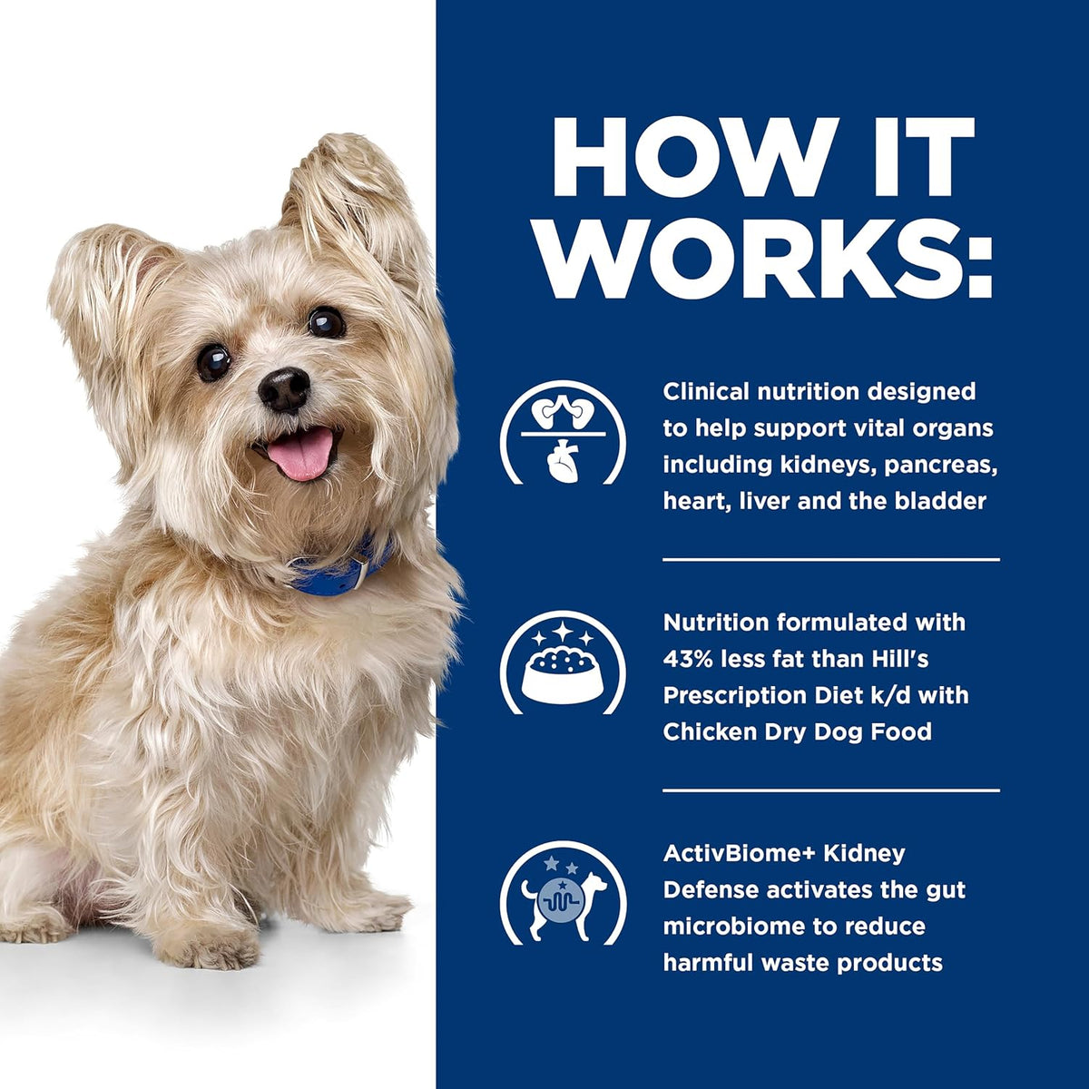 Close-up of Hill's Prescription Diet kibble for multi-organ protection