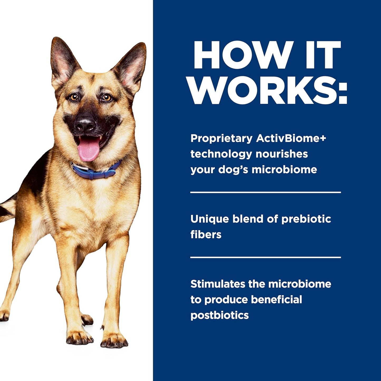 Back label of Hill's Prescription Diet Biome showing feeding guidelines.