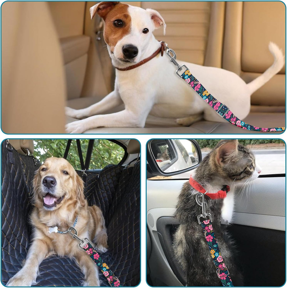 Pet car seat belt buckled into vehicle receptacle