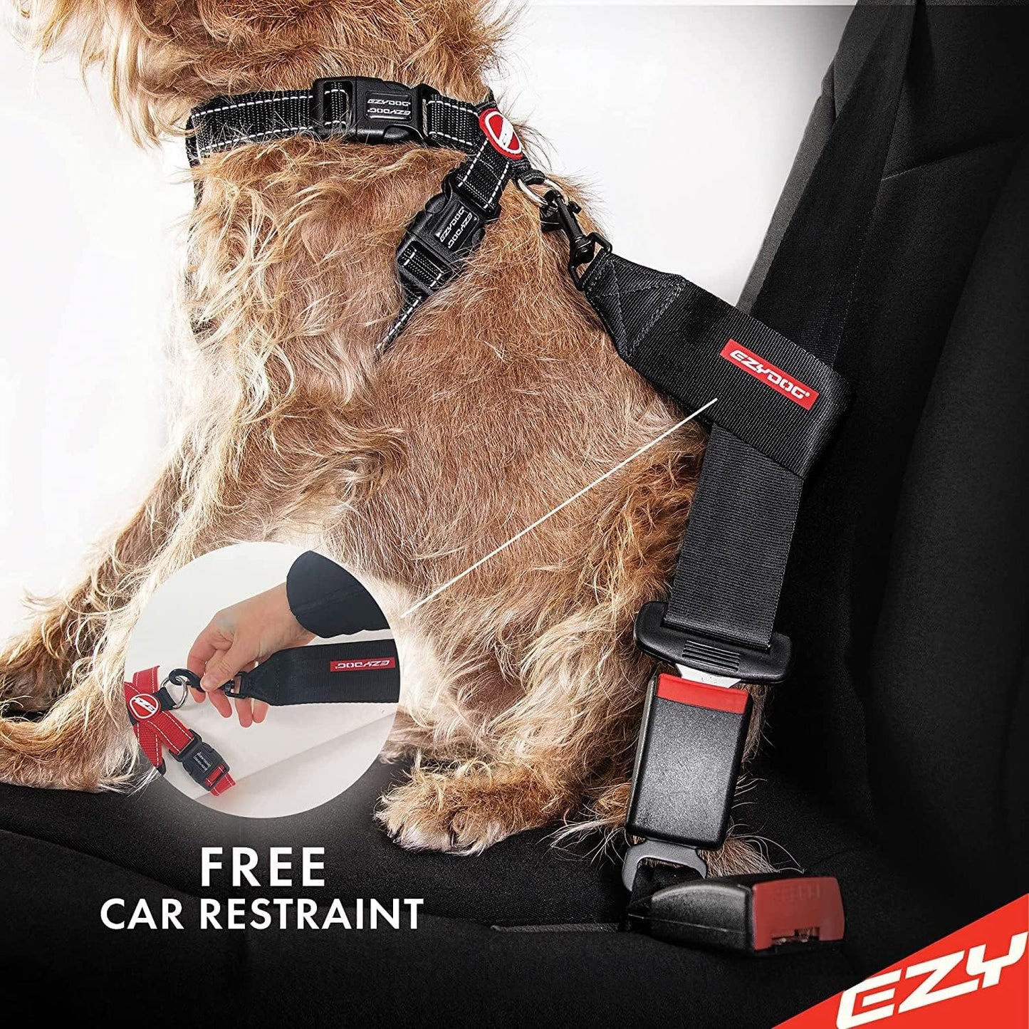 Large size EzyDog chest plate harness for active dogs
