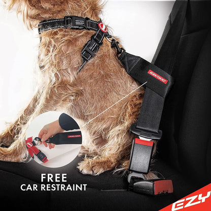 Large size EzyDog chest plate harness for active dogs
