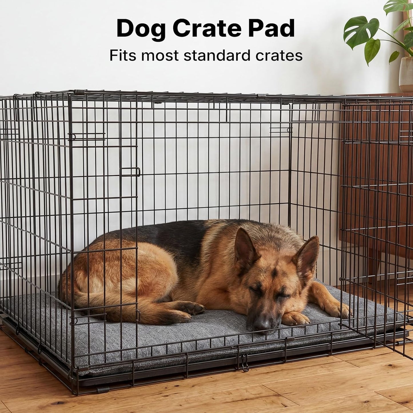 Side profile of Veehoo dog bed showing 2.4 inch thickness