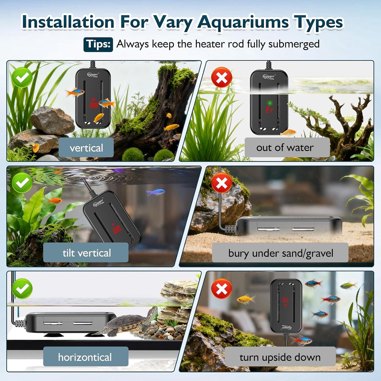 Hygger aquarium heater installed in 25 gallon fish tank