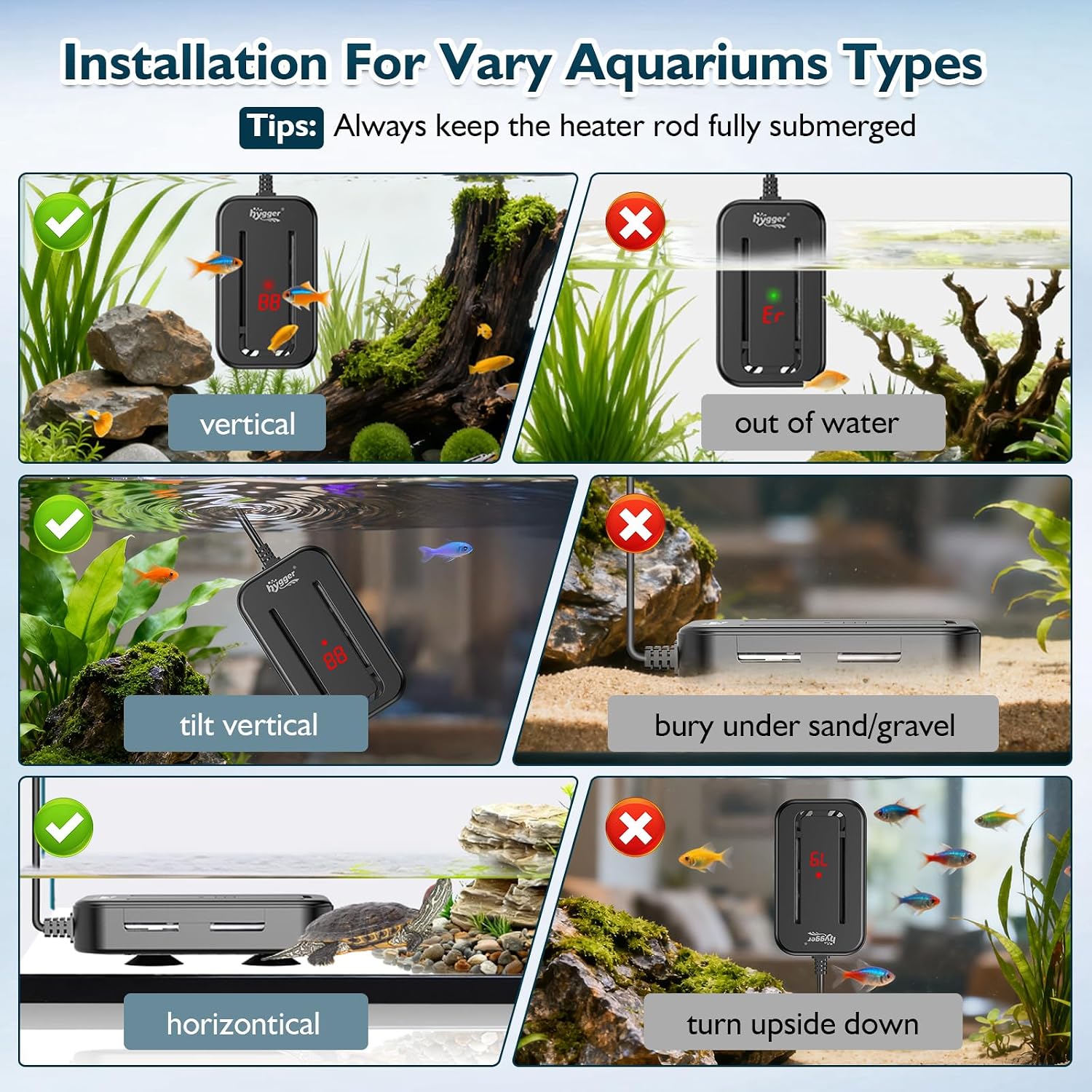 Hygger aquarium heater installed in 25 gallon fish tank
