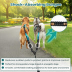 Heavy duty zinc alloy snap hooks attached to the dog splitter straps