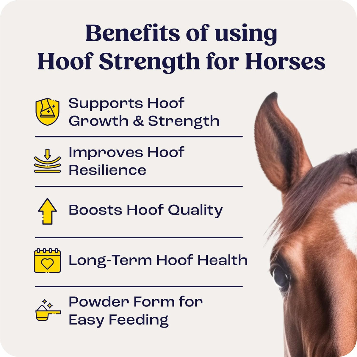 Summit Equine Hoof Strength Powder supplement facts and nutritional ingredients label.