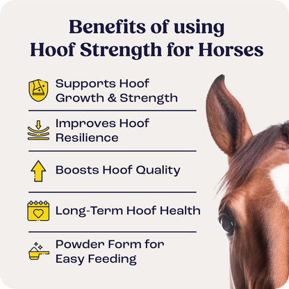 Summit Equine Hoof Strength Powder supplement facts and nutritional ingredients label.
