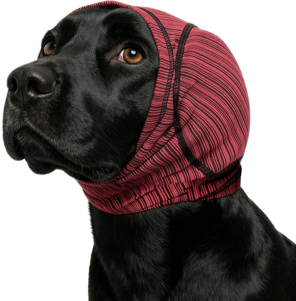 Pawrixa extra large red dog head wrap for post surgery ear protection.