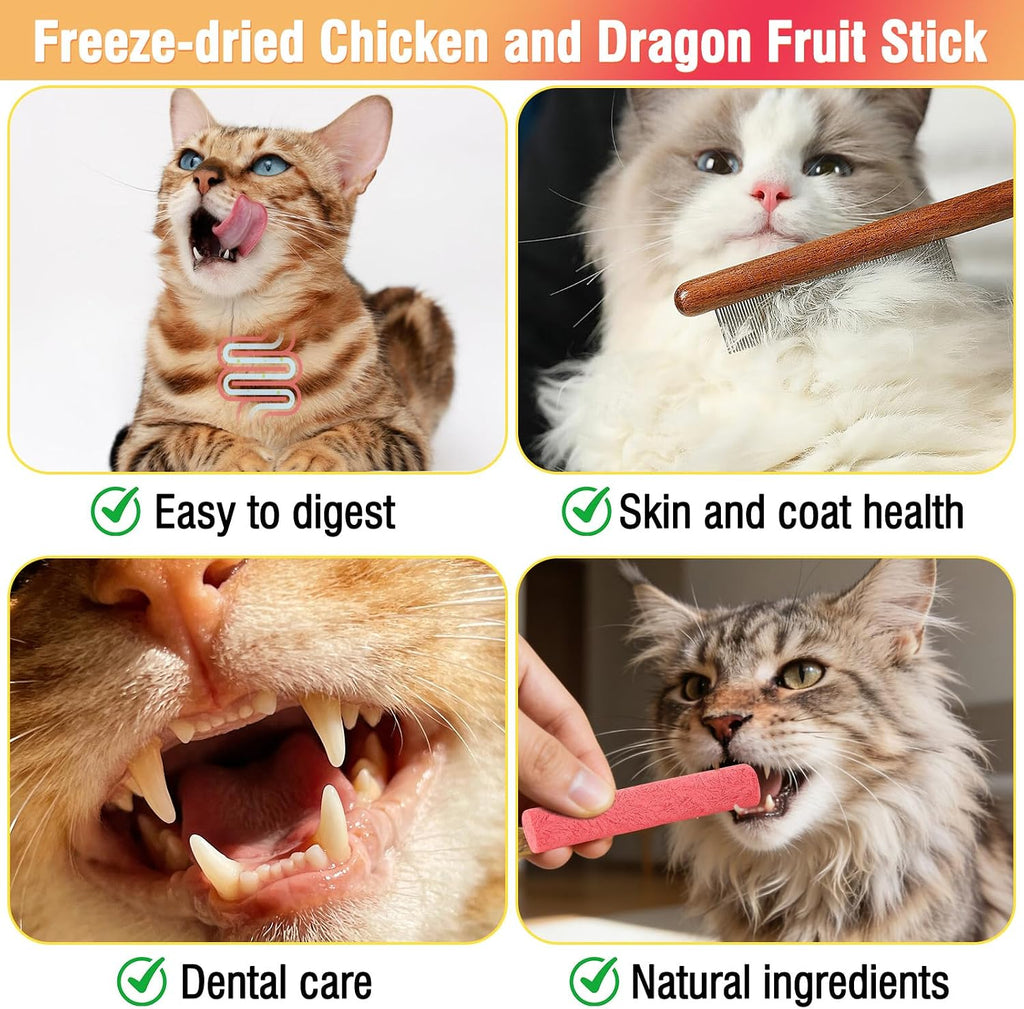 Cat eating crunchy freeze dried chicken and dragon fruit snack