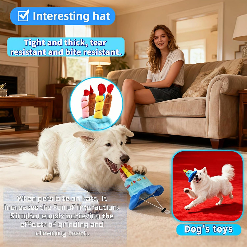 Blue plush birthday hat for dogs and cats with five candles