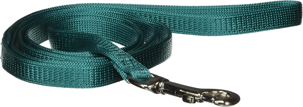 Hamilton cat lead shown with compatible safety collar