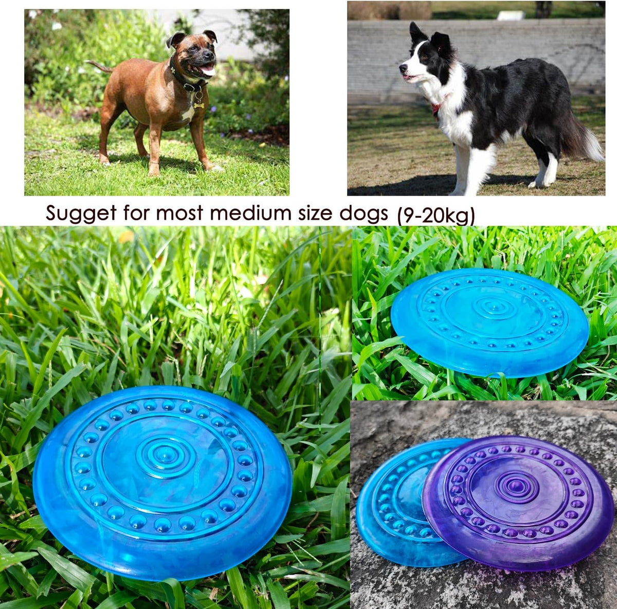 Blue and purple suheeus dog chew toy set