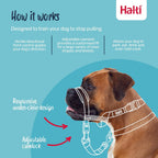Halti Optifit Headcollar - Stop Your Dog Pulling on the Leash. Adjustable, Reflective and Lightweight, with Padded Nose Band. Dog Training Anti-Pull Collar for Medium Dogs (Size Medium) - Image 2
