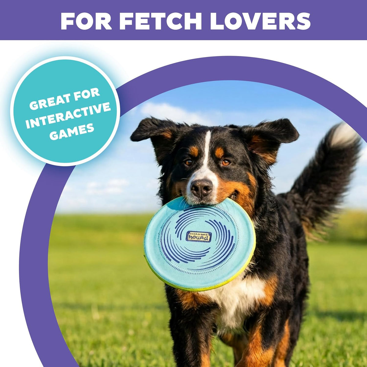 Dog catching Outward Hound FlyFetch Disc in flight