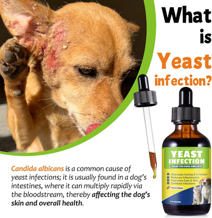 Bacon flavor pet skin and ear soothing liquid supplement bottle