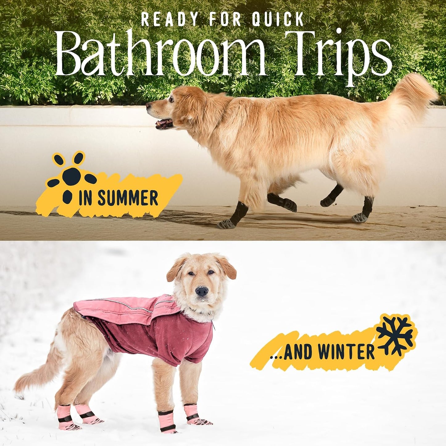 Detailed view of DOK buttonless strap for dog comfort