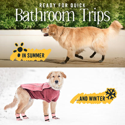 Detailed view of DOK buttonless strap for dog comfort