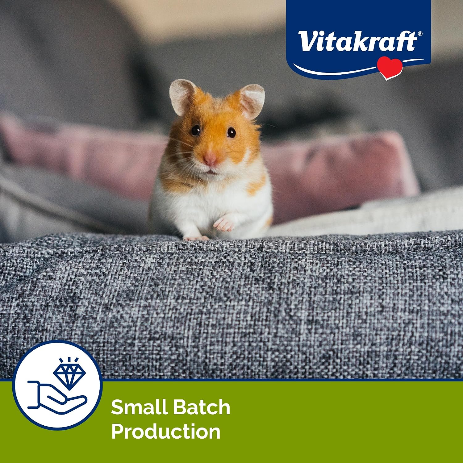 Imported Vitakraft small pet treats for bonding and training