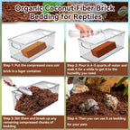 Expanded organic coconut bedding in a reptile terrarium