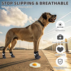 Dog wearing Kooltail paw protectors on hardwood floor