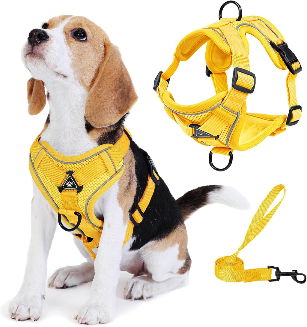 Detailed view of the high density soft padding material on the Jolifield small breed pet harness