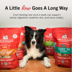 Stella & Chewy's High Protein Chicken Dog Food Freeze-Dried Formula