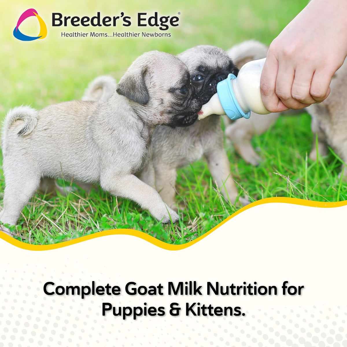 Breeder's Edge Foster Care GM powdered milk replacer tub highlighting immune and digestive support benefits