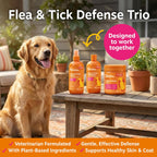 Imported Zesty Paws complete canine pest control kit showing sizes and count details.