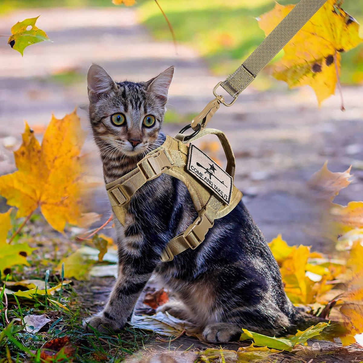 SALFSE escape proof cat harness side profile view