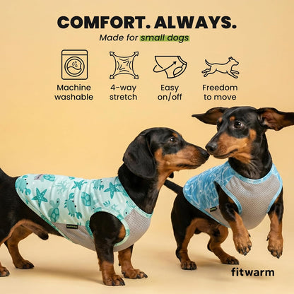 Back view of Fitwarm summer dog shirt for small breeds