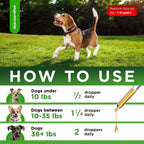 SalutemPet natural dog UTI and cough relief liquid formula