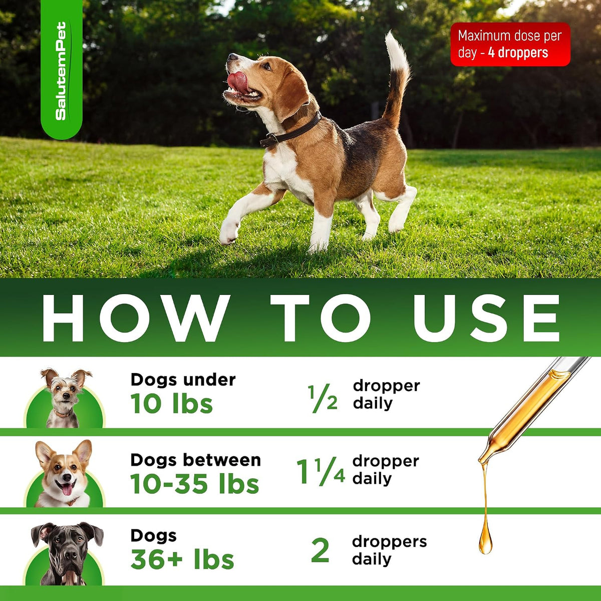 SalutemPet natural dog UTI and cough relief liquid formula