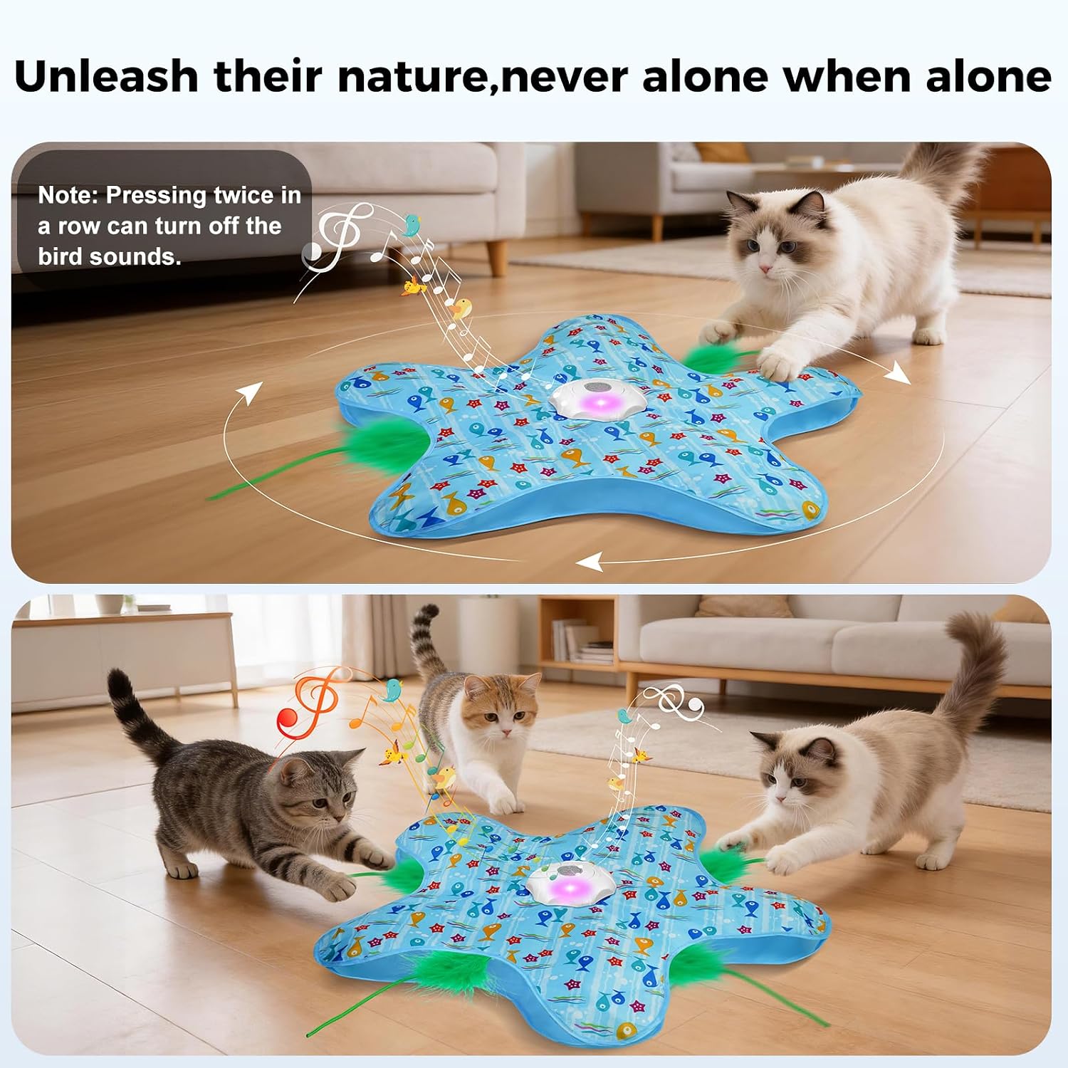Three speed interactive feline toy demonstrating the automatic motion sensor and LED indicators
