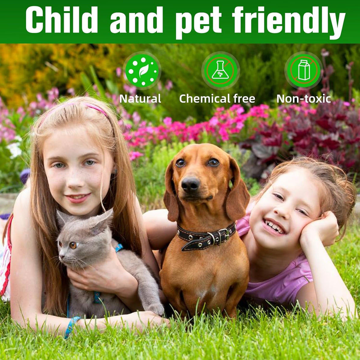 Safe essential oil formula cat deterrent balls packaging details