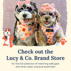 Lucy And Co. denim harness showing front D-ring