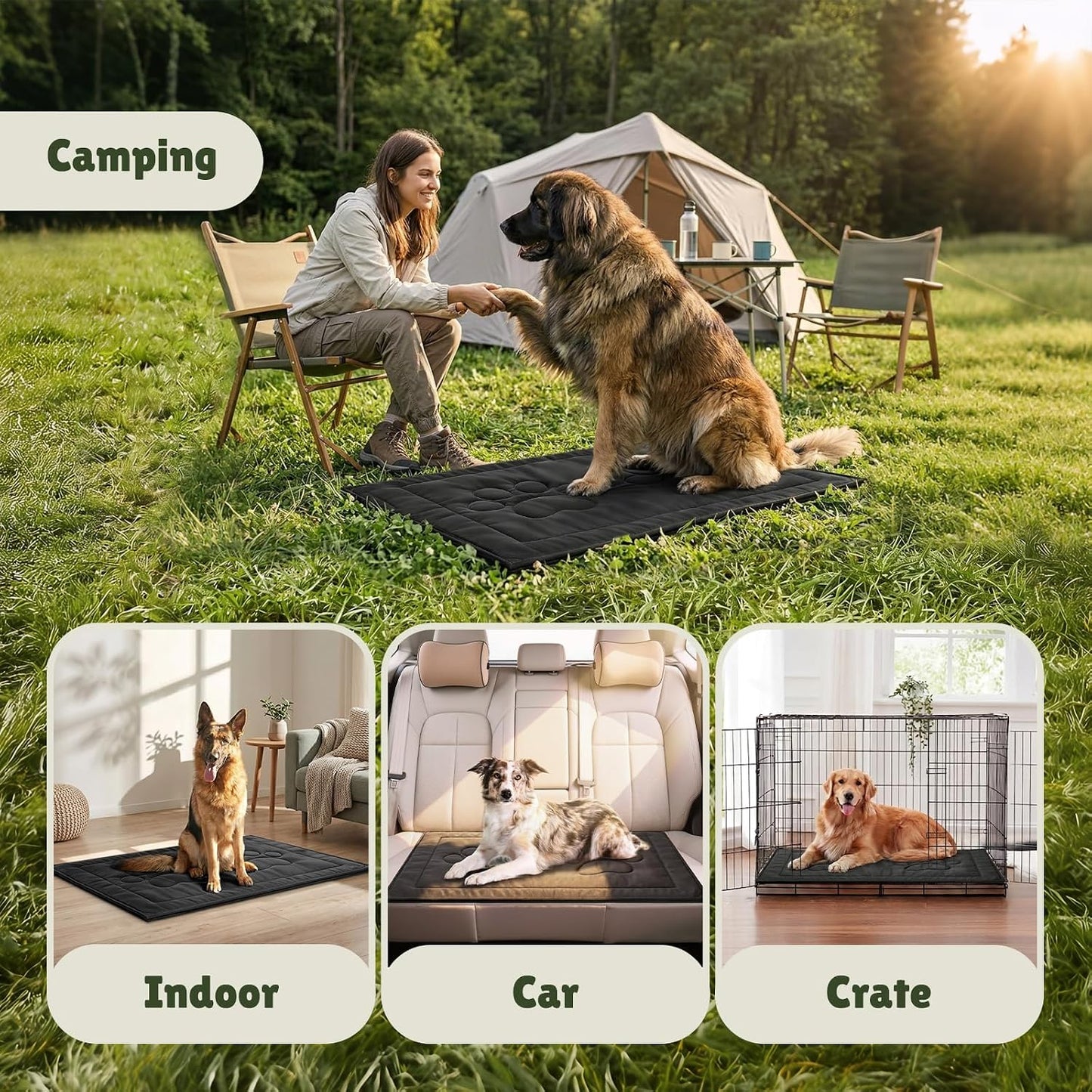 Machine washable WooPetty dog bed being removed from laundry