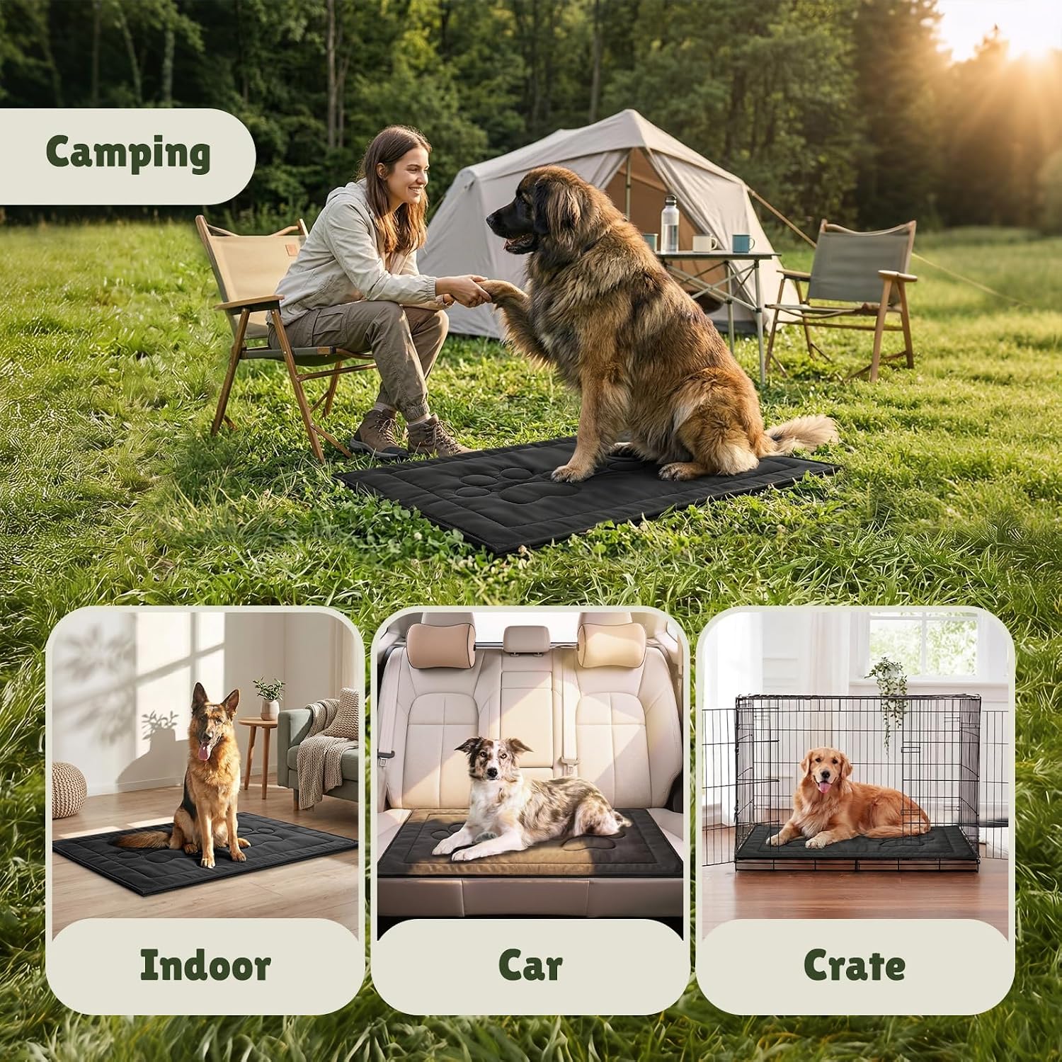 Machine washable WooPetty dog bed being removed from laundry